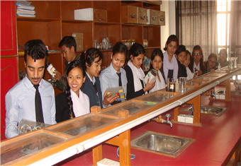 Diploma in Pharmacy (DPH)