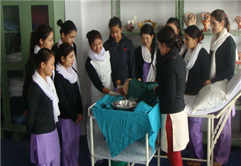 Bachelor of Science in Nursing (B.Sc. Nursing)